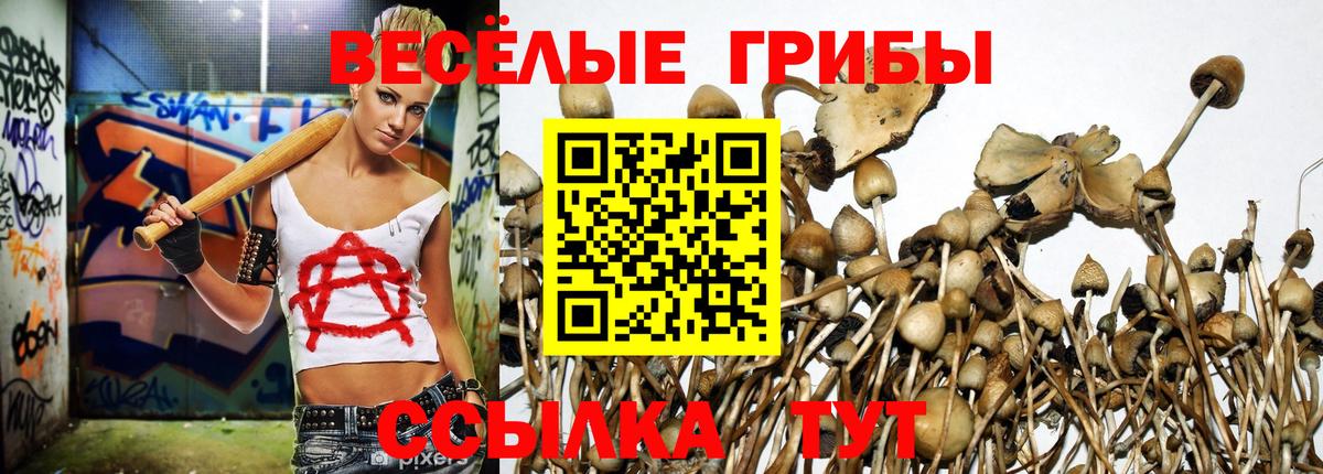 Галлюциногенные грибы MAGIC MUSHROOMS Нягань